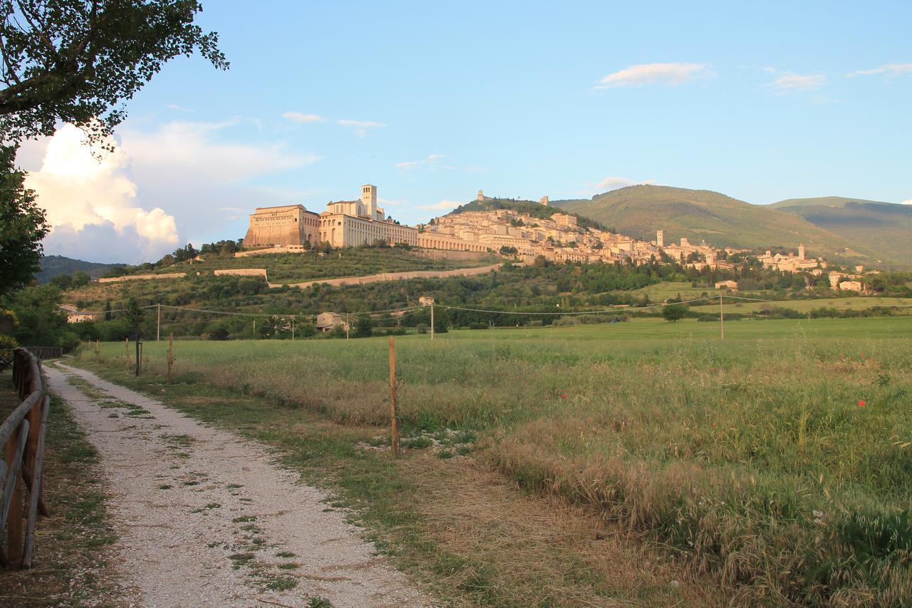 Bed and Breakfast La Piaggia Assisi Esterno foto
